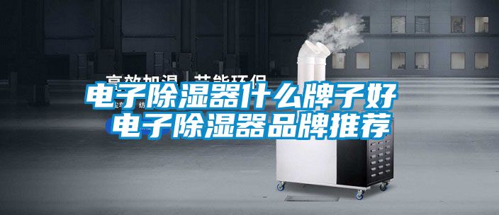 電子除濕器什么牌子好 電子除濕器品牌推薦