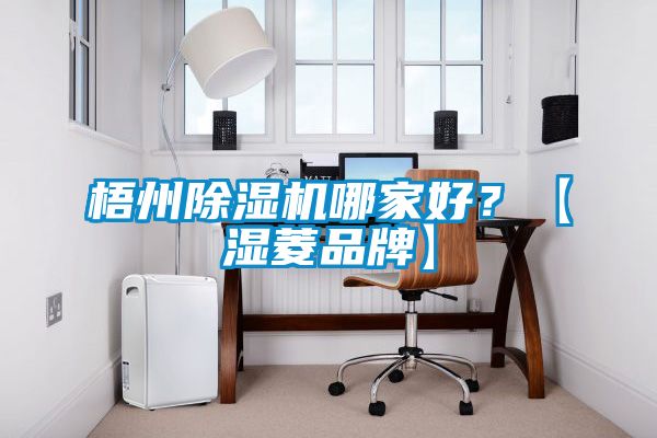 梧州除濕機哪家好？【濕菱品牌】