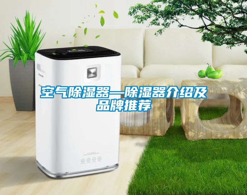 空氣除濕器—除濕器介紹及品牌推薦