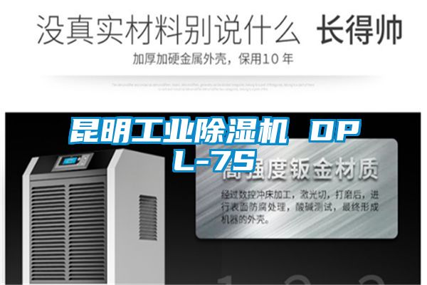 昆明工業(yè)除濕機(jī) DPL-7S