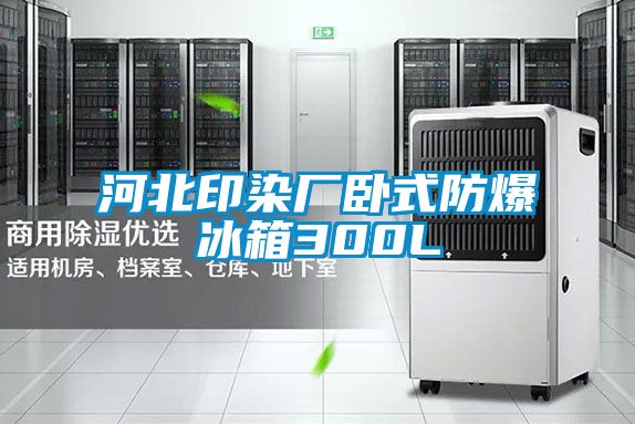 河北印染廠臥式防爆冰箱300L