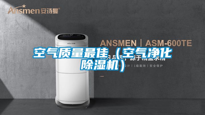 空氣質量最佳（空氣凈化除濕機）
