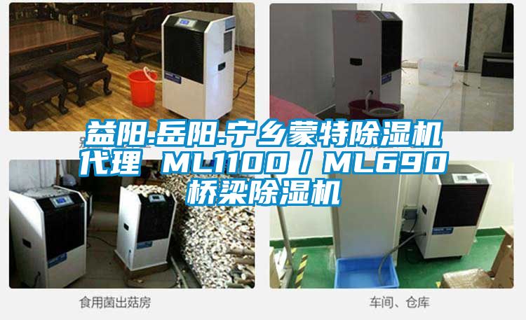益陽.岳陽.寧鄉蒙特除濕機代理 ML1100/ML690橋梁除濕機
