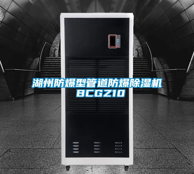 湖州防爆型管道防爆除濕機 BCGZ10