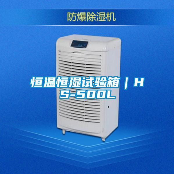 恒溫恒濕試驗箱|HS-500L