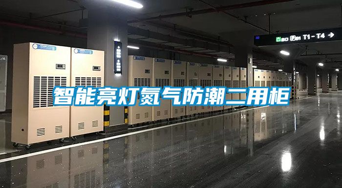 智能亮燈氮氣防潮二用柜