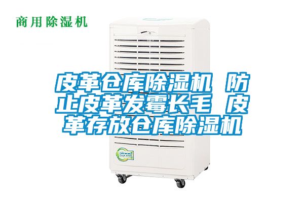 皮革倉庫除濕機(jī) 防止皮革發(fā)霉長毛 皮革存放倉庫除濕機(jī)