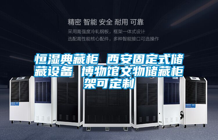 恒濕典藏柜 西安固定式儲藏設備 博物館文物儲藏柜架可定制