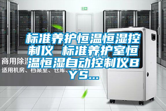 標準養(yǎng)護恒溫恒濕控制儀 標準養(yǎng)護室恒溫恒濕自動控制儀BYS...