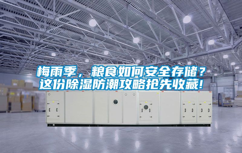 梅雨季，糧食如何安全存儲？這份除濕防潮攻略搶先收藏!