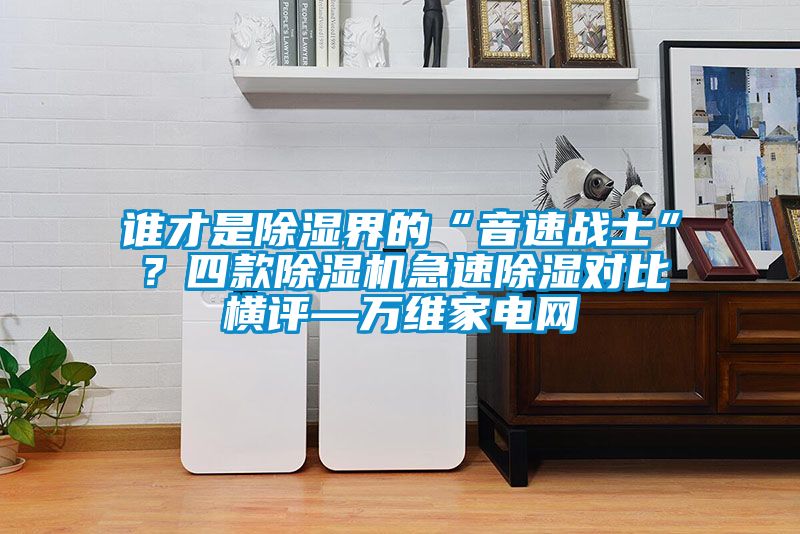 誰才是除濕界的“音速戰(zhàn)士”？四款除濕機急速除濕對比橫評—萬維家電網(wǎng)