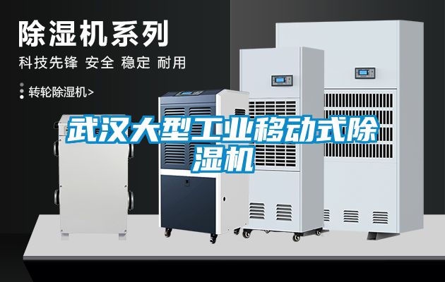 武漢大型工業(yè)移動式除濕機