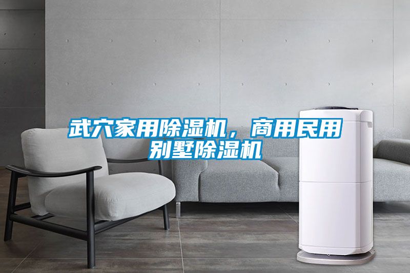 武穴家用除濕機，商用民用別墅除濕機
