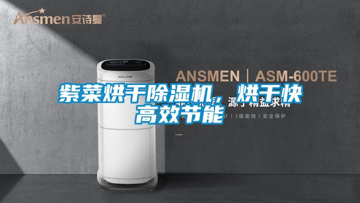 紫菜烘干除濕機，烘干快高效節能
