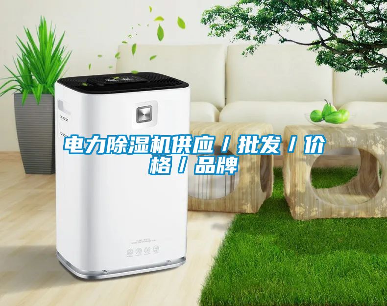 電力除濕機供應／批發／價格／品牌