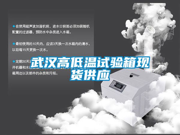 武漢高低溫試驗箱現貨供應