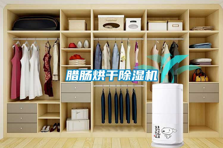 臘腸烘干除濕機