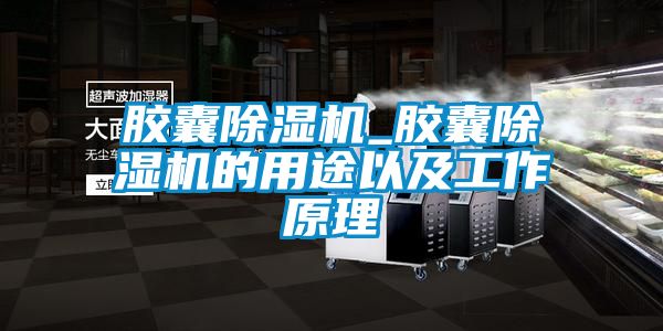 膠囊除濕機_膠囊除濕機的用途以及工作原理