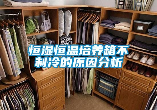 恒濕恒溫培養箱不制冷的原因分析