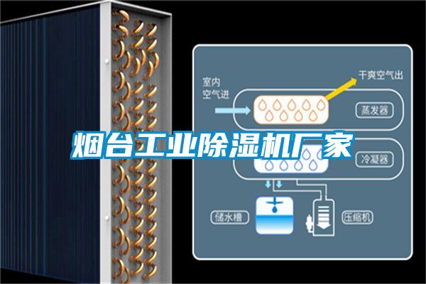 煙臺工業除濕機廠家