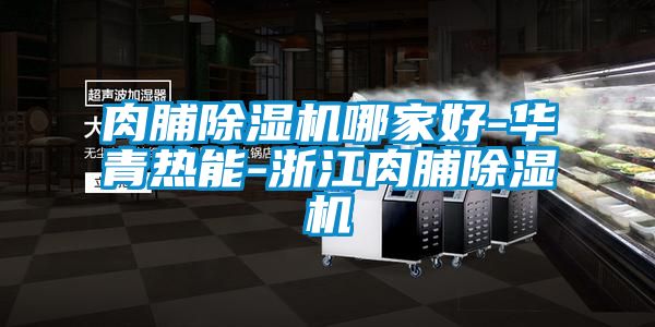 肉脯除濕機(jī)哪家好-華青熱能-浙江肉脯除濕機(jī)