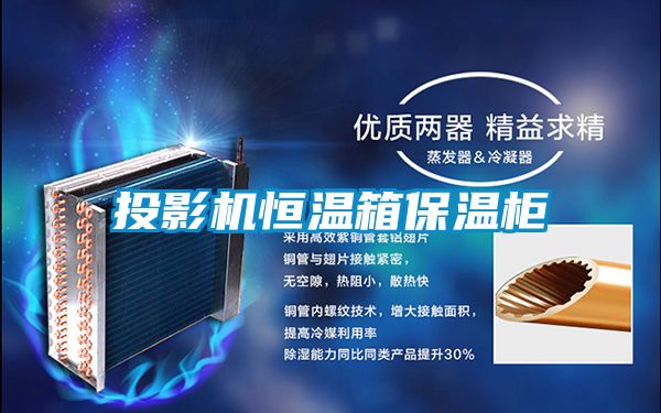 投影機恒溫箱保溫柜