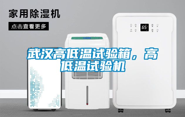 武漢高低溫試驗箱，高低溫試驗機
