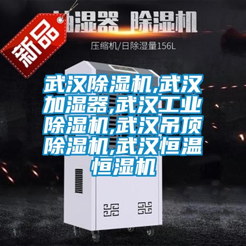 武漢除濕機,武漢加濕器,武漢工業除濕機,武漢吊頂除濕機,武漢恒溫恒濕機