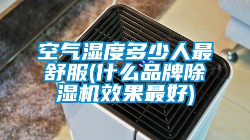空氣濕度多少人最舒服(什么品牌除濕機(jī)效果最好)