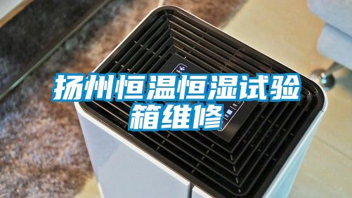 揚(yáng)州恒溫恒濕試驗(yàn)箱維修