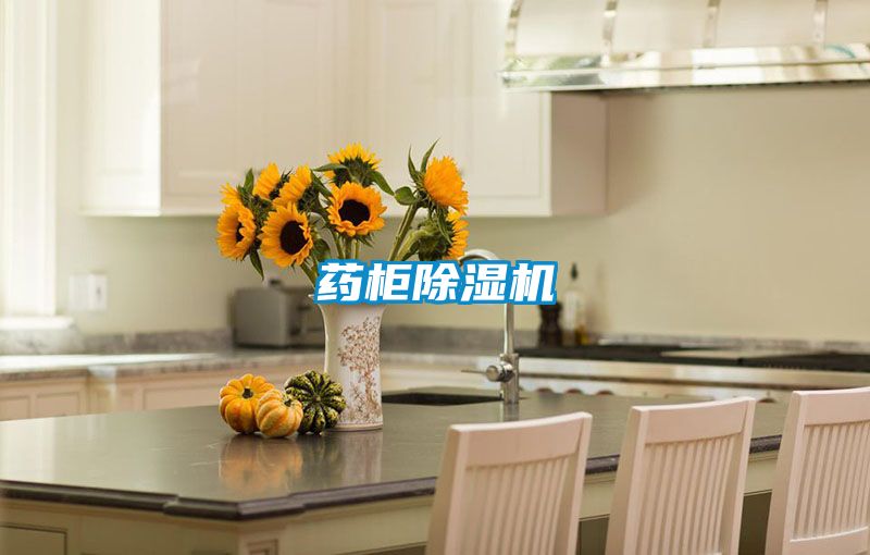 藥柜除濕機(jī)