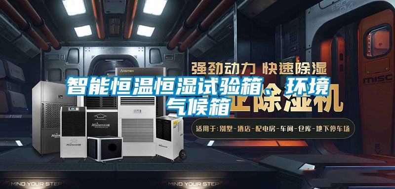 智能恒溫恒濕試驗(yàn)箱、環(huán)境氣候箱