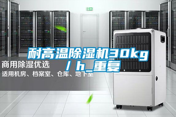 耐高溫除濕機(jī)30kg／h_重復(fù)