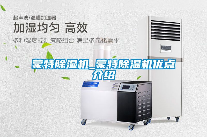蒙特除濕機_蒙特除濕機優點介紹