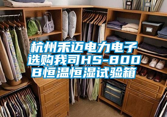 杭州禾邁電力電子選購我司HS-800B恒溫恒濕試驗箱