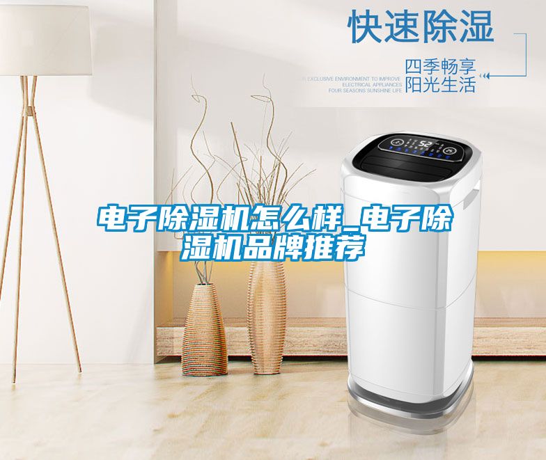 電子除濕機怎么樣_電子除濕機品牌推薦