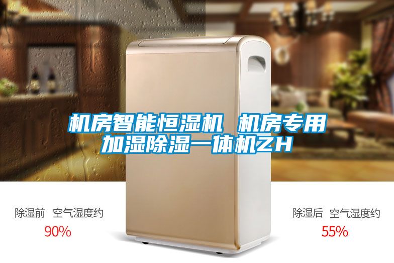 機(jī)房智能恒濕機(jī) 機(jī)房專用加濕除濕一體機(jī)ZH