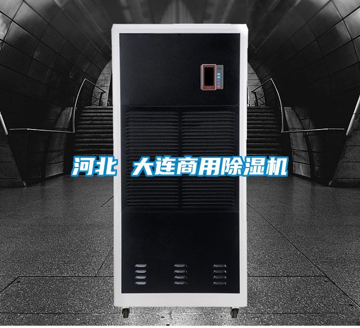 河北 大連商用除濕機