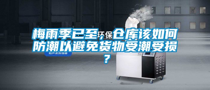 梅雨季已至，倉庫該如何防潮以避免貨物受潮受損？