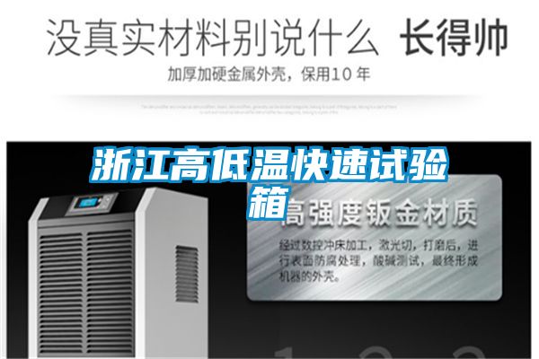 浙江高低溫快速試驗箱