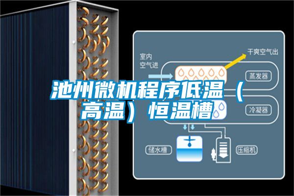 池州微機程序低溫（高溫）恒溫槽