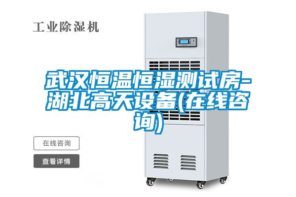 武漢恒溫恒濕測試房-湖北高天設備(在線咨詢)