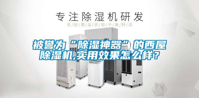 被譽為“除濕神器”的西屋除濕機,實用效果怎么樣？