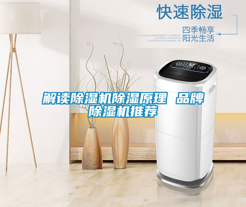解讀除濕機除濕原理 品牌除濕機推薦