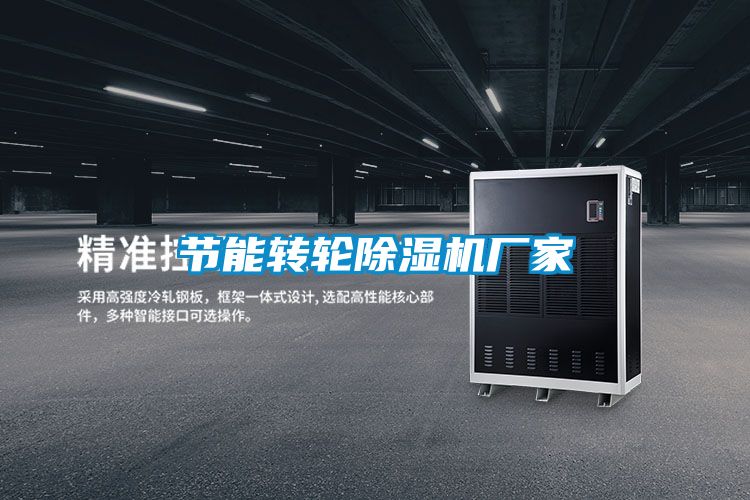 節(jié)能轉(zhuǎn)輪除濕機(jī)廠家