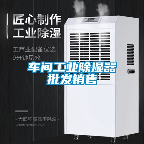 車間工業除濕器批發銷售