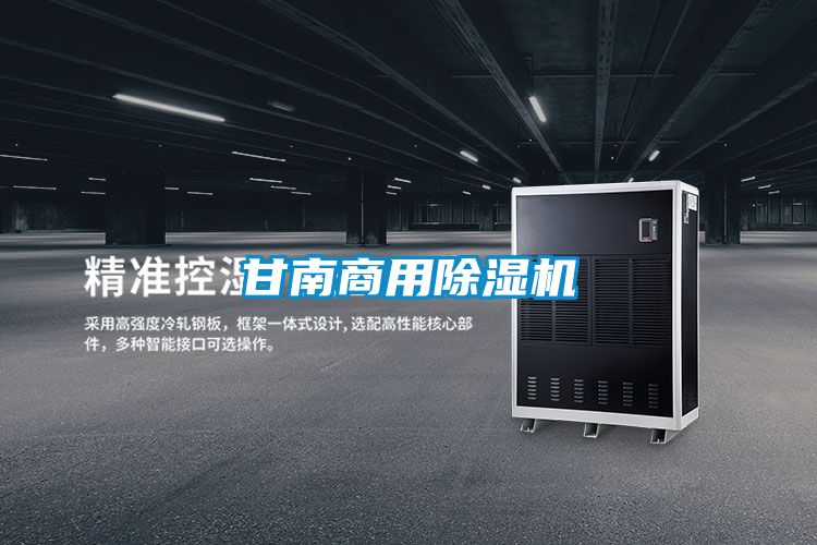 甘南商用除濕機(jī)