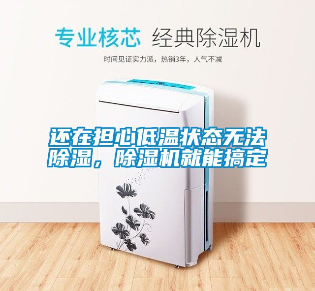 還在擔心低溫狀態無法除濕，除濕機就能搞定