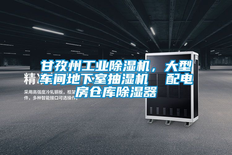 甘孜州工業除濕機，大型車間地下室抽濕機  配電房倉庫除濕器