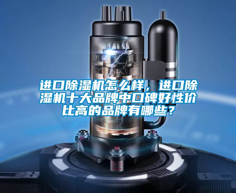 進(jìn)口除濕機怎么樣，進(jìn)口除濕機十大品牌中口碑好性價比高的品牌有哪些？